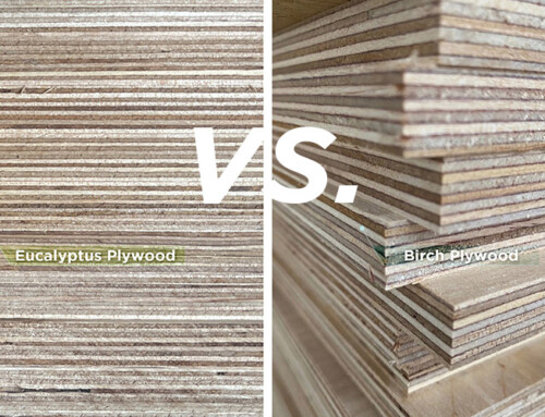 Eucalyptus Plywood vs. Birch Plywood